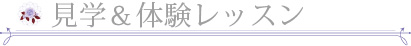 CMXَq̌bX