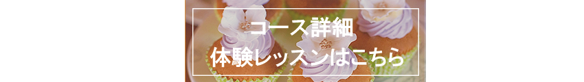 fR[VR[XڍׁǍbX